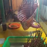 Foto Suasana 2 di RM Sate Barokah, Bekasi Barat, Bekasi