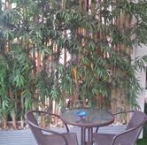 Foto Suasana 3 di Kopi Konnichiwa, Bekasi Selatan, Bekasi