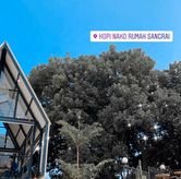 Foto Makanan 1 di Kopi Nako, Bogor Timur, Kota Bogor