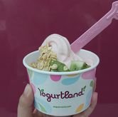 Foto Makanan 4 di Yogurtland, Tegalsari, Surabaya