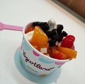 Foto Makanan 6 di Yogurtland, Tegalsari, Surabaya