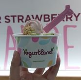 Foto Makanan 3 di Yogurtland, Tegalsari, Surabaya