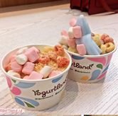 Foto Makanan 1 di Yogurtland, Tegalsari, Surabaya