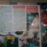 Foto Suasana 3 di Rujak Cingur dan Sop Buntut Genteng Durasim, Genteng, Surabaya