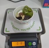 Foto Makanan 5 di Yogurtland, Tegalsari, Surabaya