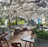 Foto Suasana 4 di Hanami, Cihampelas, Bandung