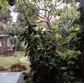 Foto Suasana 2 di The Heritage Kitchen, Setiabudhi, Bandung