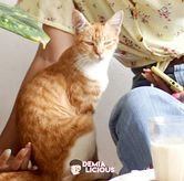 Foto Suasana 5 di Kopi Juanda, Dago Atas, Bandung
